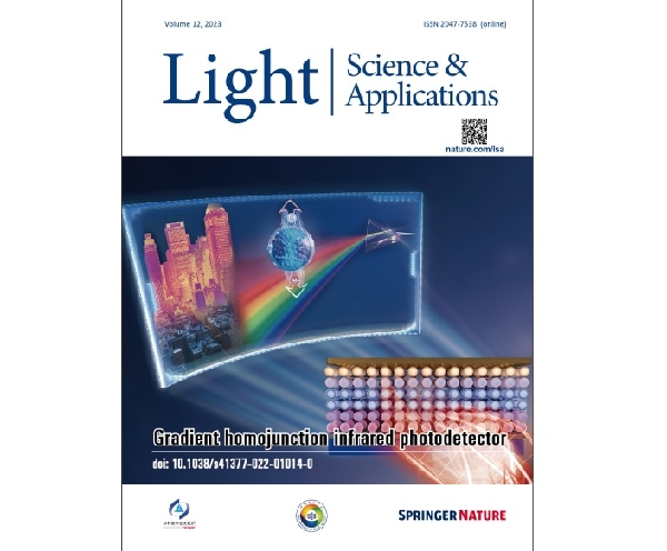[김정원] Massively parallel electro-optic sampling of space-encoded optical pulses for ultrafast multi-dimensional imaging -공간적으로 인코딩된 광 펄스의 대용량/병렬 전기-광학적 샘플링을 이용한  초고속 다차원 영상 기법- 대표이미지